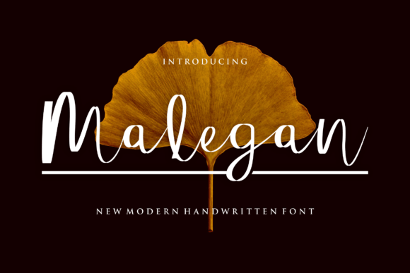 Malegan: A Script Font That Elevates Branding and Digital Campaigns