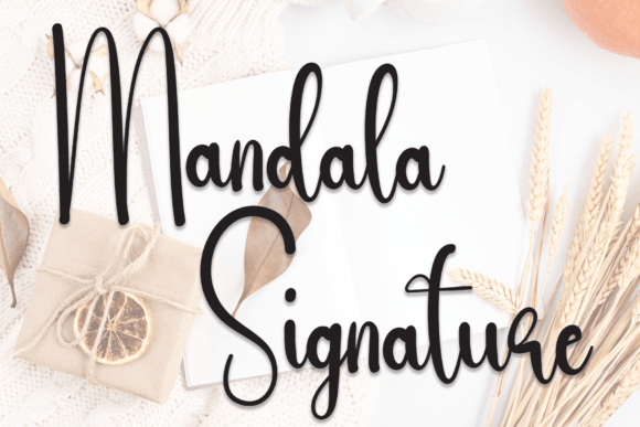 Mandala Signature: A Designer’s Honest Review for Real-World Use