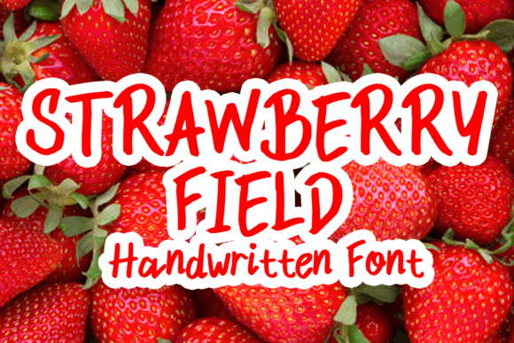 Strawberry Field: A Handwritten Font for Warm, Reader-Friendly Editorial Design