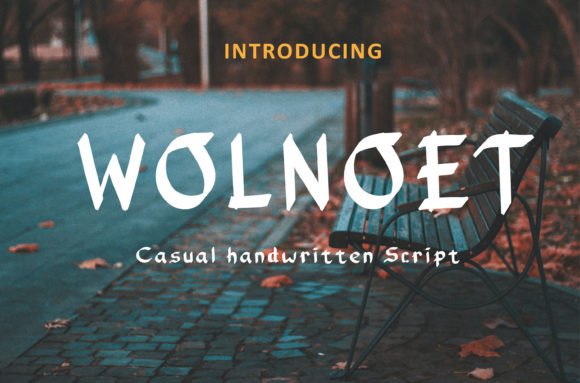 Wolnoet: A Handwritten Font That Elevates Modern Web Design